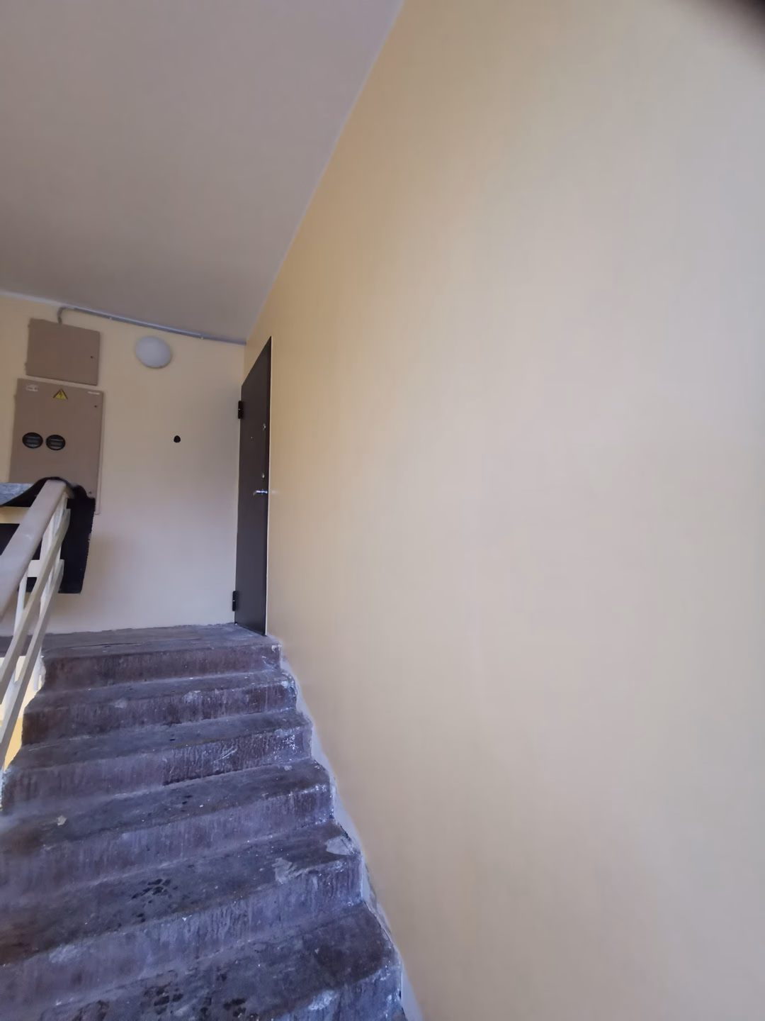 Korteriühistute trepikojad ( paljude erinevate majade trepikojad) — foto 15