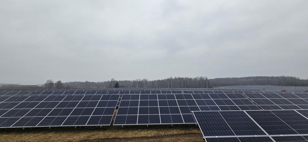 Špogi 4mw — foto 14