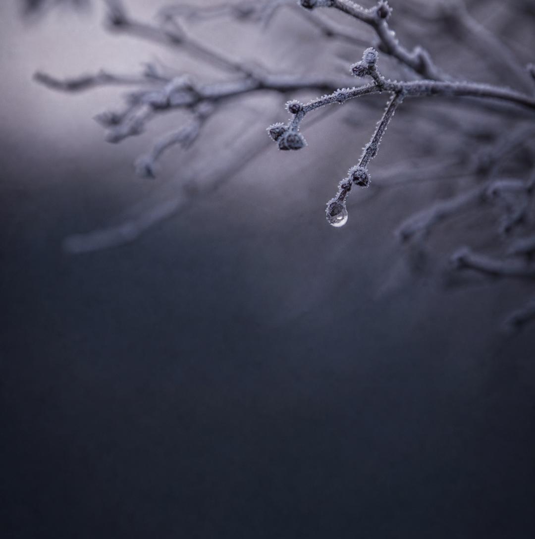 Ärihoone siseviimistlus — foto 2