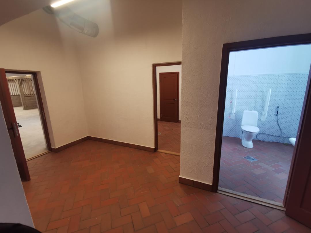 Alatskivi loss sisekrohvimine ja lubivärvimine — foto 6